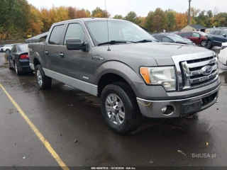 FORD FORD F-150 XLT