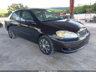 TOYOTA TOYOTA COROLLA LE