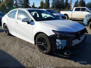 TOYOTA TOYOTA CAMRY SE