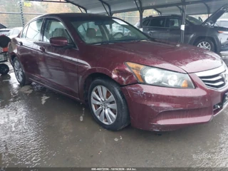 HONDA HONDA ACCORD 2.4 EX-L