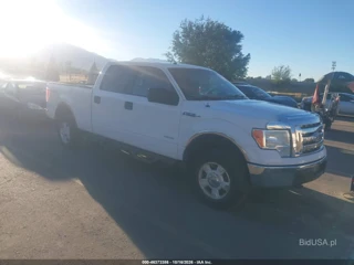 FORD FORD F-150 XLT