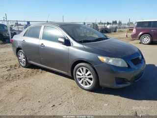 TOYOTA TOYOTA COROLLA LE
