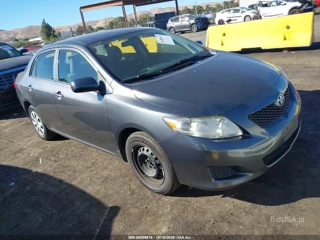 TOYOTA TOYOTA COROLLA LE