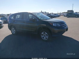 HONDA HONDA CR-V LX