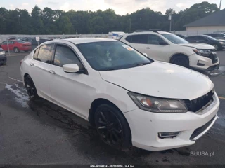HONDA HONDA ACCORD SPORT
