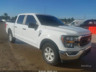 FORD FORD F-150 XLT
