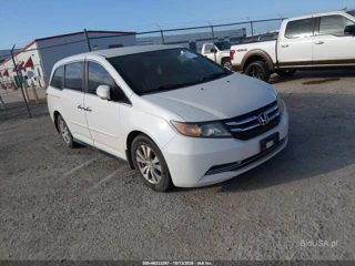 HONDA HONDA ODYSSEY SE