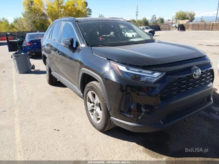TOYOTA TOYOTA RAV4 XLE
