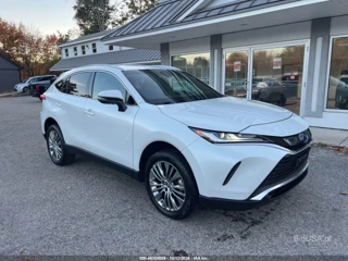TOYOTA TOYOTA VENZA XLE