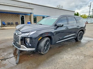 HYUNDAI PALISADE CALLIGRAPHY