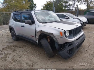 JEEP JEEP RENEGADE TRAILHAWK