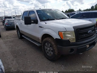 FORD FORD F-150 FX4/HARLEY-DAVIDSON/KING RANCH/LARIAT/PLATINUM/XL/XLT