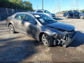CHEVROLET CHEVROLET MALIBU 1LT