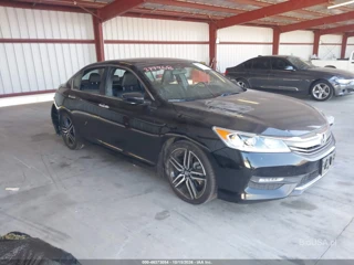 HONDA HONDA ACCORD SPORT