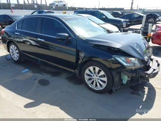 HONDA HONDA ACCORD EX