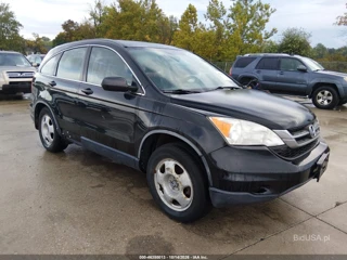 HONDA HONDA CR-V LX