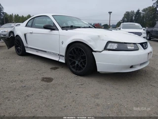 FORD FORD MUSTANG