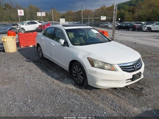 HONDA HONDA ACCORD 2.4 EX-L