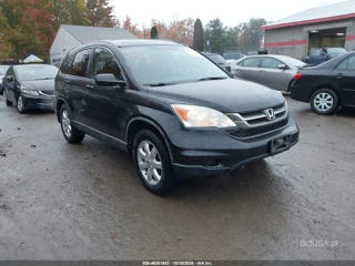 HONDA HONDA CR-V SE