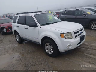 FORD FORD ESCAPE HYBRID