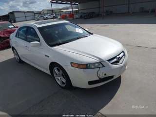 ACURA ACURA TL