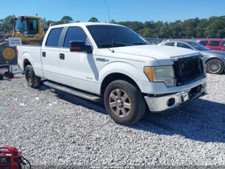 FORD FORD F-150 XLT