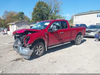 FORD FORD F-150 XLT