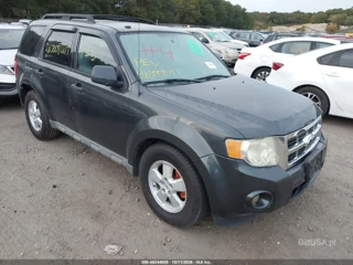 FORD FORD ESCAPE XLT