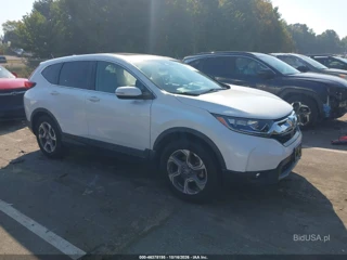 HONDA HONDA CR-V EX