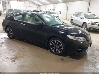 HONDA HONDA ACCORD EX-L V6