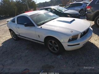 FORD FORD MUSTANG V6