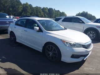HONDA HONDA ACCORD SPORT