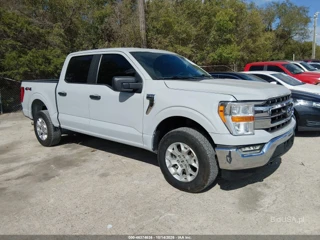 FORD FORD F-150 XLT