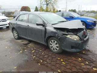 TOYOTA TOYOTA COROLLA LE