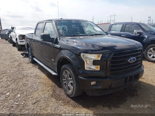 FORD FORD F-150 XLT