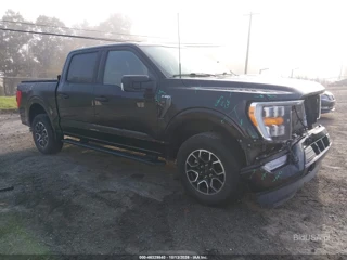 FORD FORD F-150 XLT