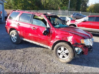 FORD FORD ESCAPE XLT