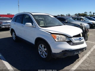 HONDA HONDA CR-V EX-L