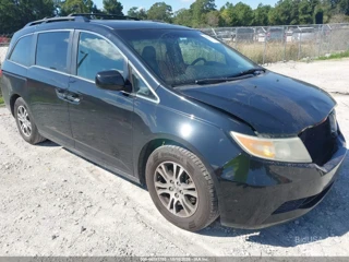 HONDA HONDA ODYSSEY EX-L