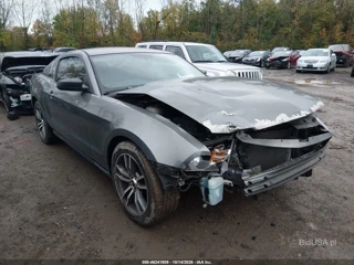 FORD FORD MUSTANG V6