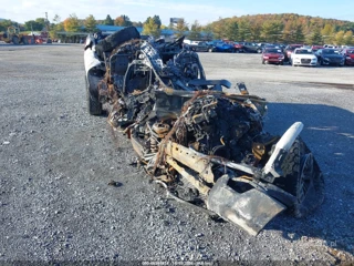 FORD FORD F-150 TREMOR