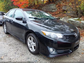 TOYOTA TOYOTA CAMRY SE