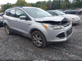 FORD FORD ESCAPE SEL