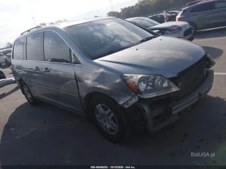 HONDA HONDA ODYSSEY EX-L