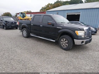 FORD FORD F-150 FX4/HARLEY-DAVIDSON/KING RANCH/LARIAT/PLATINUM/XL/XLT
