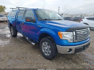 FORD FORD F-150 XLT