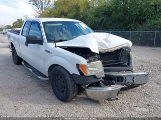 FORD FORD F-150 STX/XL