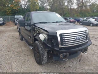 FORD FORD F-150 XLT