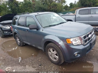 FORD FORD ESCAPE XLT