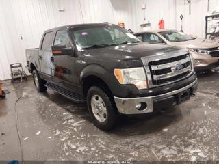 FORD FORD F-150 XLT